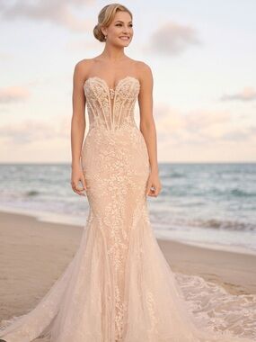 NWT Maggie Sottero Benjie Royale Wedding Gown